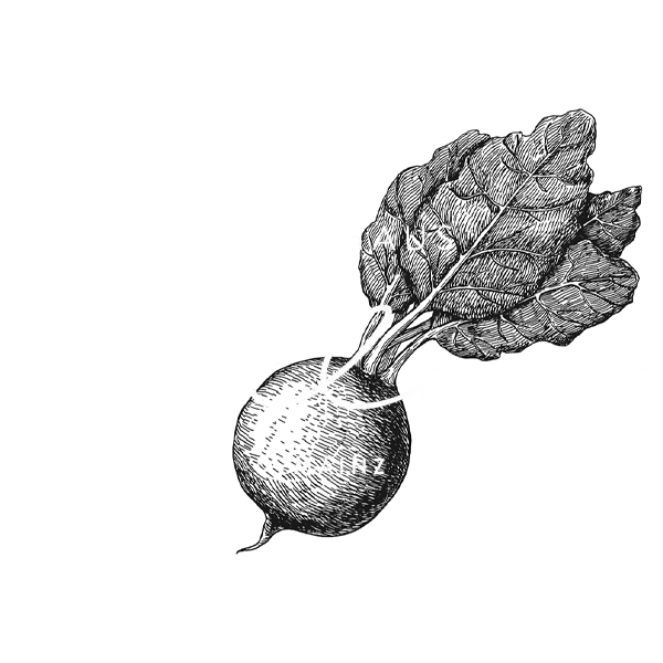 logo des gasthaus willems, restaurant in mainz.